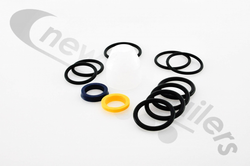 03878101 Keith Walking Floor® RFII Check Valve Assembly External Seal Kit